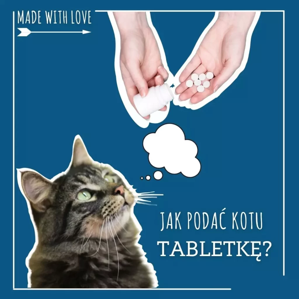 jak podac tabletkę kotu